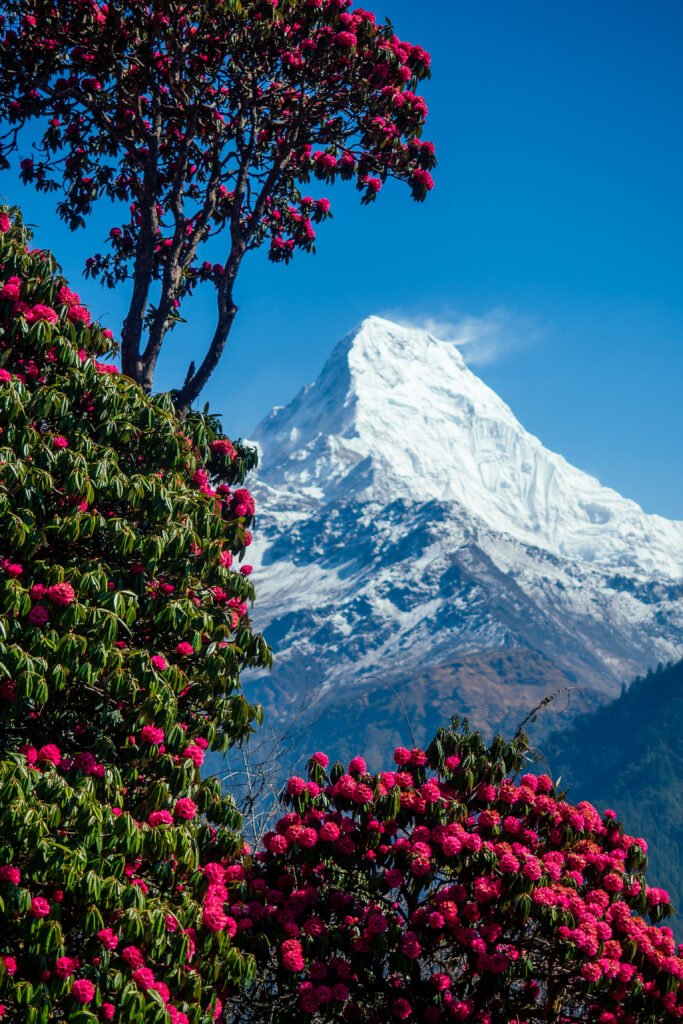 When to film in Nepal